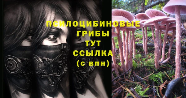 круглые Богородицк