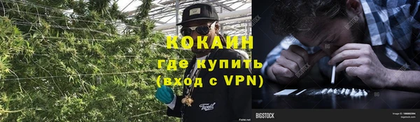 прущая мука Богородск